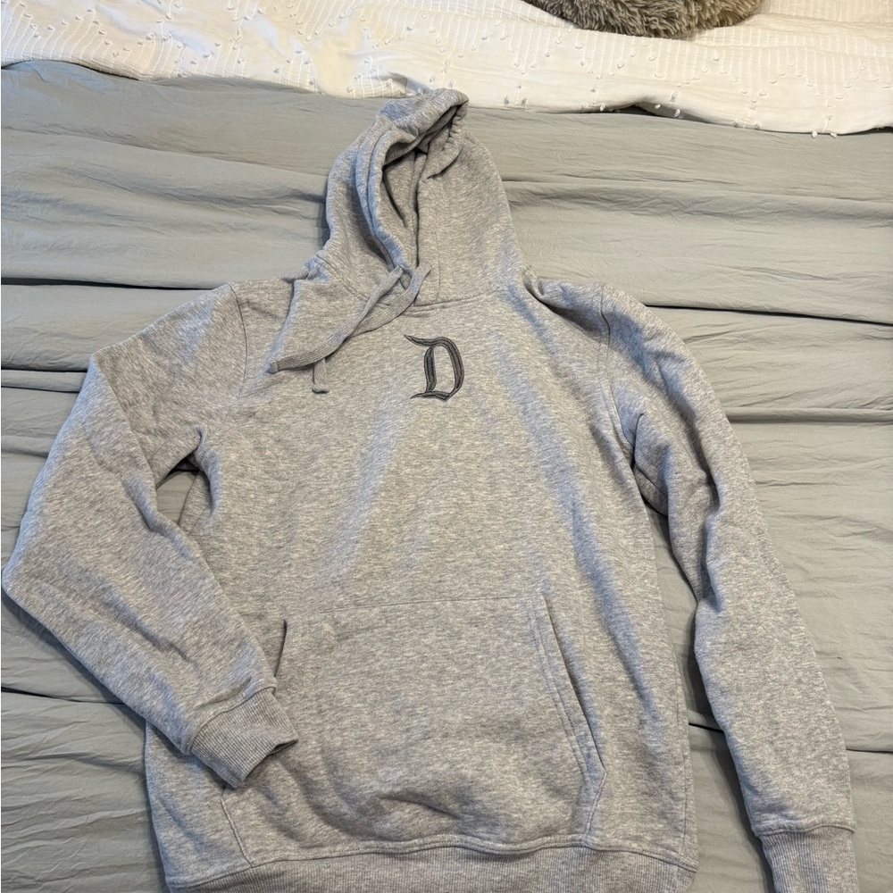 Disneyland Gray Hoodie Sweater